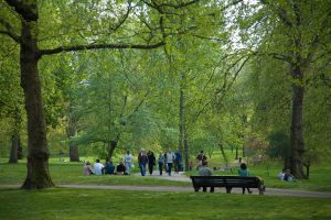 Betanított parkgondozó Tanfolyam